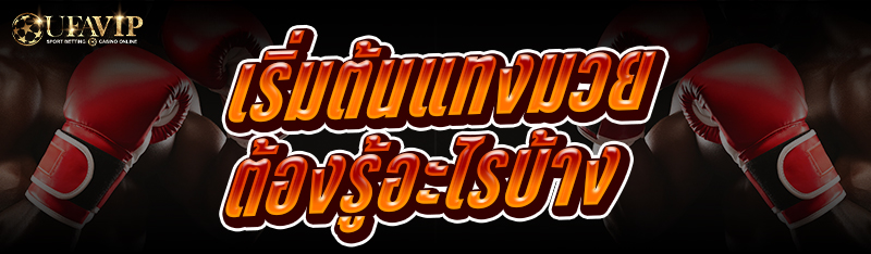 เริ่มต้นแทงมวย ต้องรู้อะไรบ้าง